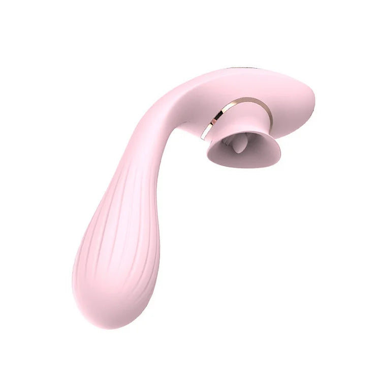 Pussy Dildo Vibrators Toys