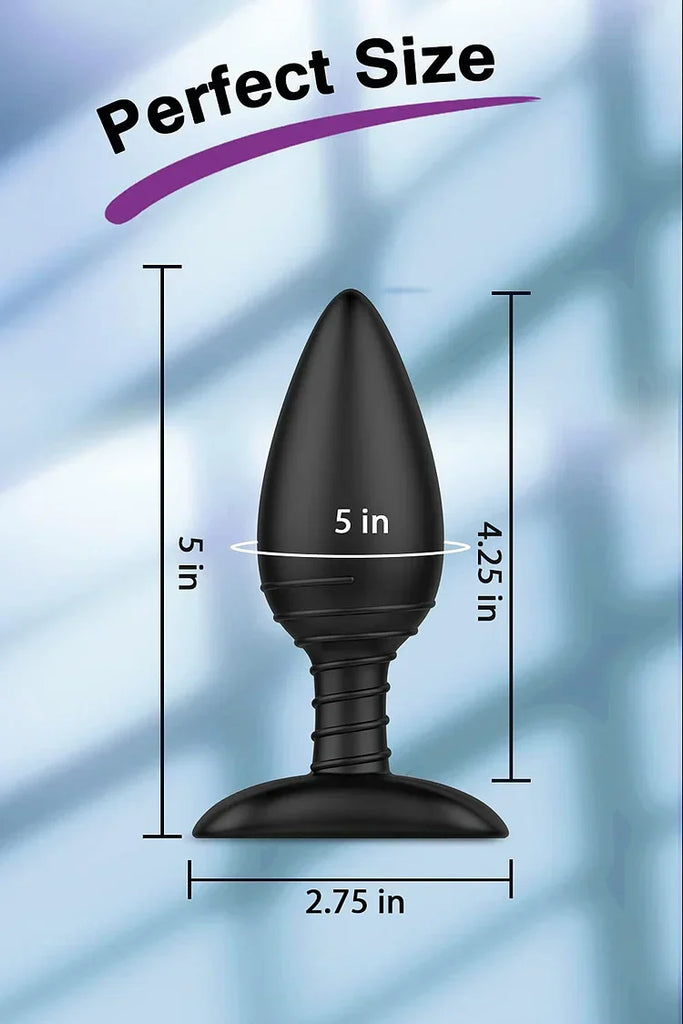 Anal Plug with Bullet Vibrator