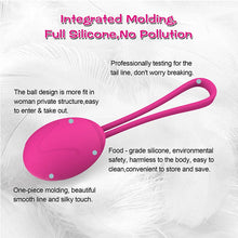 Load image into Gallery viewer, Vaginal Dumbbell Different Weight Silicone Kegel Balls Vibrator Female Masturbation