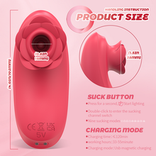 Load image into Gallery viewer, Rose Toy Sucker Vibrating Egg Sucking G-spot Massage Stimulator